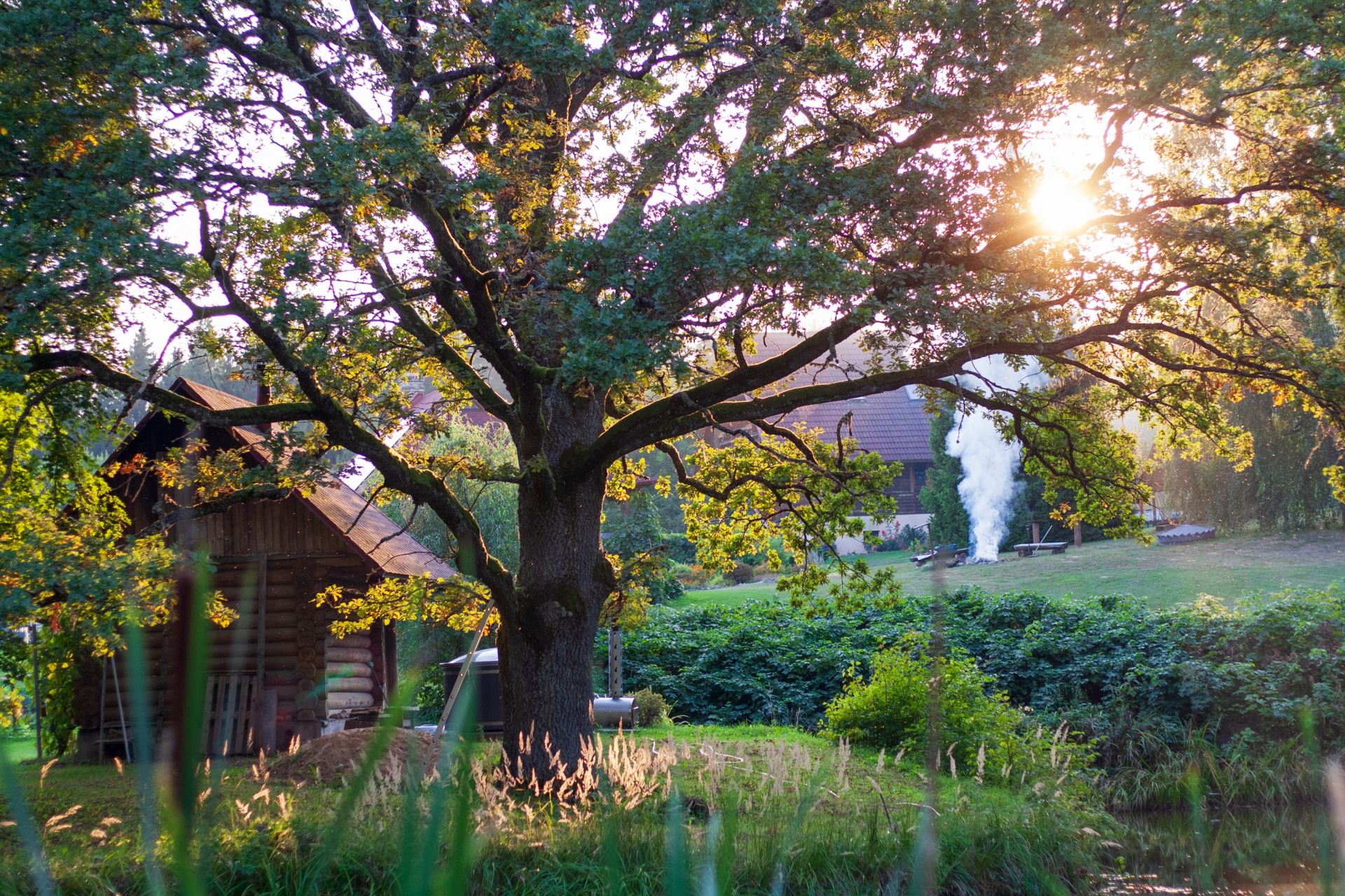 large_135394527731a5184685